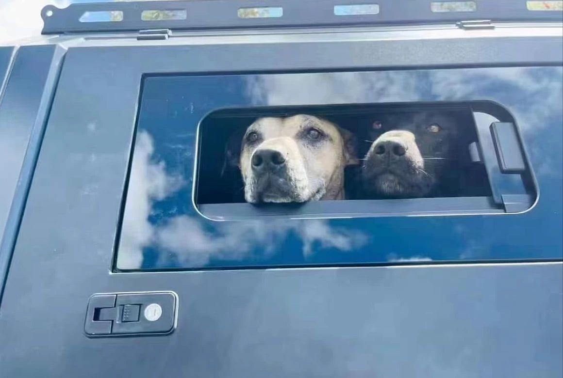Pet Window for Canopy